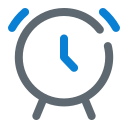 reloj icon