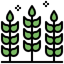 trigo icon