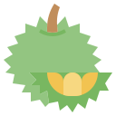 fruta icon