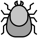 inseto 