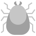 inseto 
