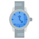 reloj icon