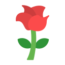 rosa icon