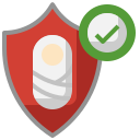 seguridad icon