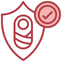 seguridad icon