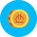 lari icon