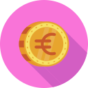 euro icon