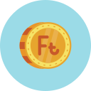 florín icon