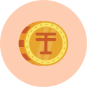 tenge icon