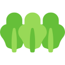 alface icon