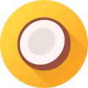 coco icon