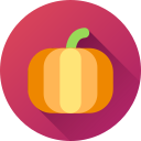 calabaza icon