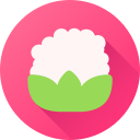 coliflor icon