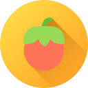 tomate icon