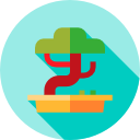 bonsai icon