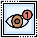 ojo icon