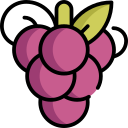 fruta icon