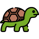 tortuga icon