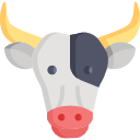 vaca