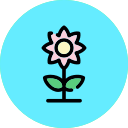 girasol icon