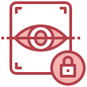 seguridad icon