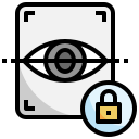 seguridad icon