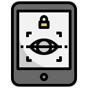 seguridad icon