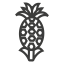 fruta icon