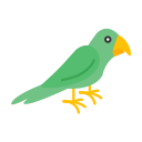 guacamayo 