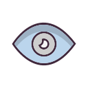 ojo icon