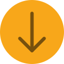 flecha icon