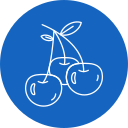 fruta icon