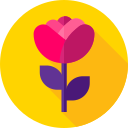 rosa icon