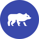 oso polar