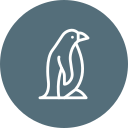 pingüino icon