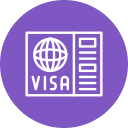 visa icon