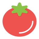 tomate icon