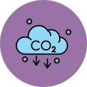 co2 icon