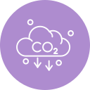 co2 icon