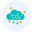 co2 icon