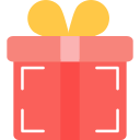 regalo icon