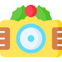 Christmas camera icon