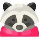 mapache icon