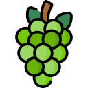 uvas icon