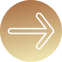 flecha correcta icon