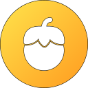 tomate icon