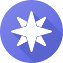 estrella icon