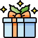 caja de regalo icon