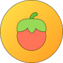 tomate icon