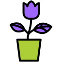 maceta icon